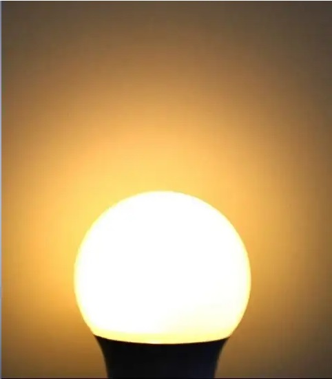daylight bulb