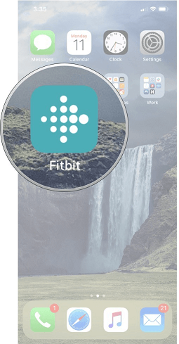 Hit the icon of Fitbit Connect