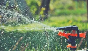 best motion activated sprinklers