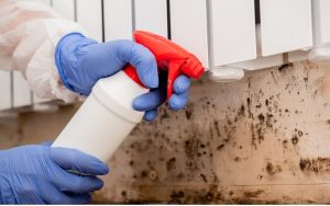 How Is Mold Bad For Human Health