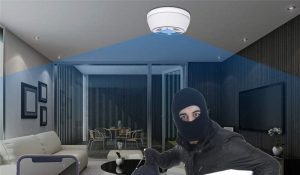 best smoke detector camera