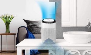 dehumidifier and air purifier combo