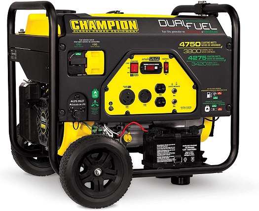Champion Power Equipment Portable Generator