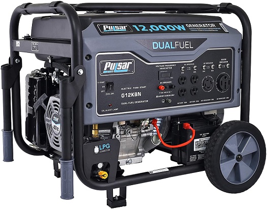 Pulsar Heavy Duty Portable Dual Fuel Generator