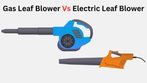 Gas Leaf Blower Vs Electric Leaf Blower