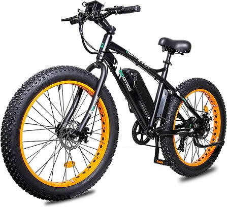 ECOTRIC Electric Fat Tire Bike