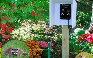 best electric fence chargers