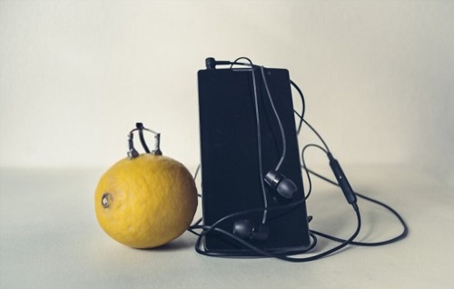 Lemon DIY Battery