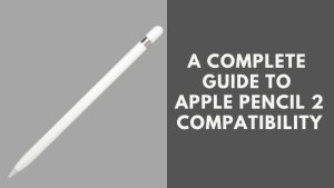 Apple Pencil 2 Compatibility