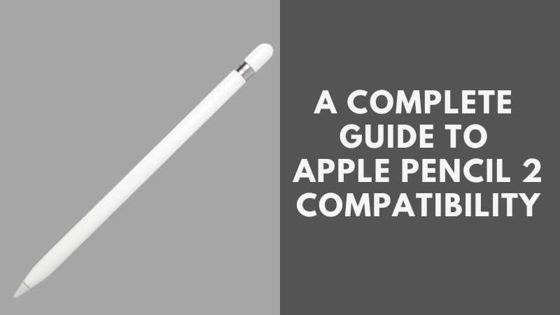 A Complete Guide To Apple Pencil 2 Compatibility - ElectronicsHub