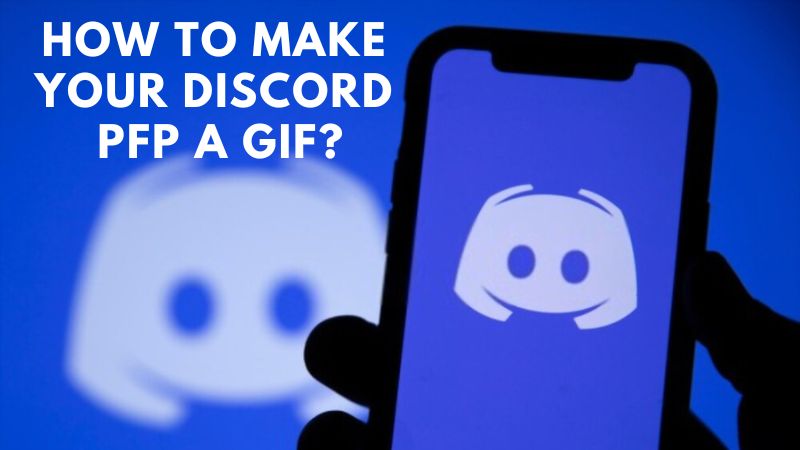 Create a discord profile picture animated or nonanimated by