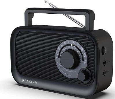 Yewrich Bluetooth Speakers with FM Radio