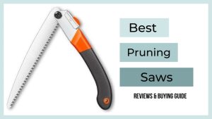 Best Pruning saws