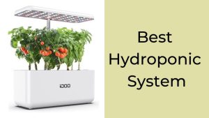Best Hydroponic System