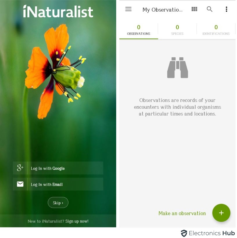 iNaturalist para plantas 1