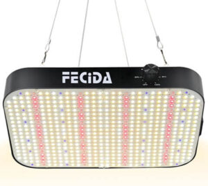 FECiDA Lights