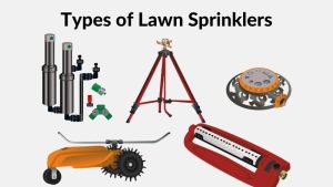 Types of Lawn Sprinklers