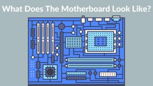What Does The Motherboard Look Like