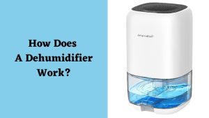 How Does A Dehumidifier Work