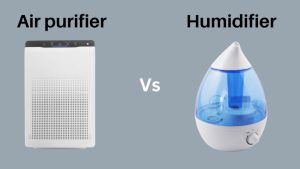 Air purifier Vs Humidifier