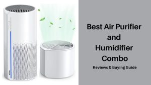 Best Air Purifier and Humidifier Combo