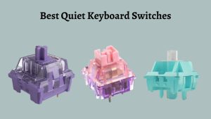 Best Quiet Keyboard Switches