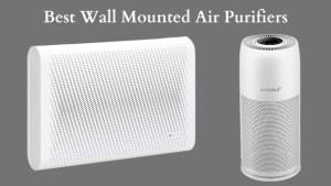 Best Wall Mounted Air Purifiers