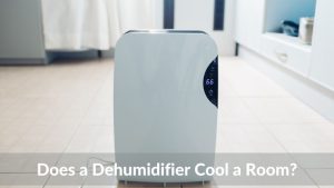 Does a Dehumidifier Cool a Room