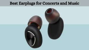 Best Earplugs for Concerts and Music