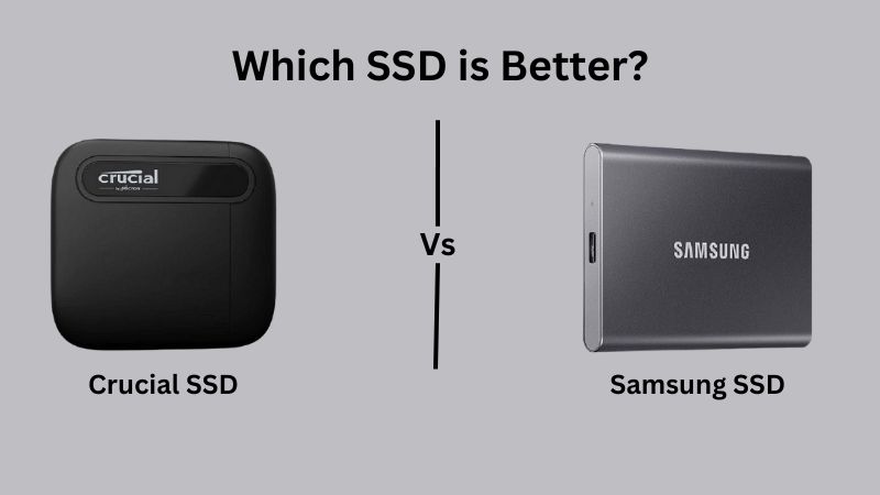 Samsung vs Crucial SSD: Pick the Right Drive for You (2024)