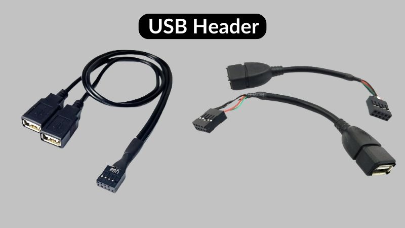 negativ Vær tilfreds vride Everything You Need to Know About USB Headers - ElectronicsHub