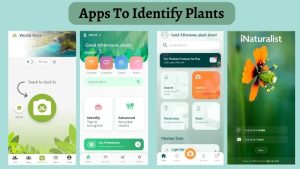 Apps To Identify Plants