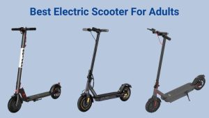 Best Electric Scooter For Adults