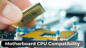 Motherboard CPU Compatibility (3)
