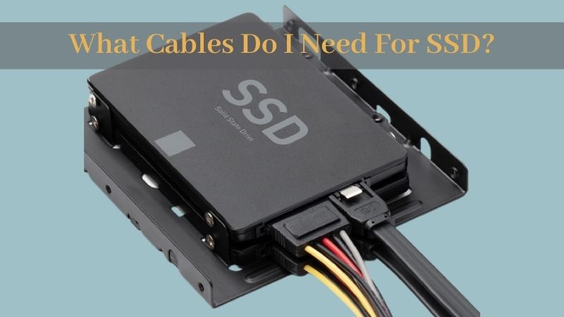 What Cables Do For SSD? ElectronicsHub