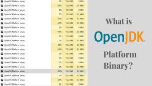 What is Openjdk Platform Binary
