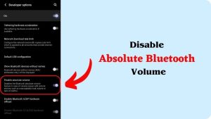 disable absolute