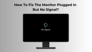 Monitor Plugged in But No Signal Issue (2)