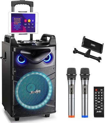 Best Portable Karaoke Microphones to Buy Online 2023: Reviews, Picks