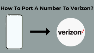 Port Number To Verizon