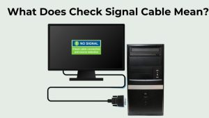 No Signal? &ldquo;Check Signal Cable&rdquo; Fix (Easy Steps!)
