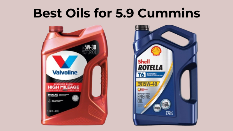 9 Best Oils For 5.9 Cummins Reviews & Buying Guide - ElectronicsHub