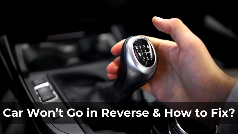 Car Won't Go Forward Or Backwards