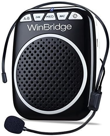 WinBridge Voice Amplifier
