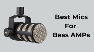 Best Mics For Bass AMPs