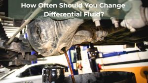 How Often Should You Change Differential Fluid (1)