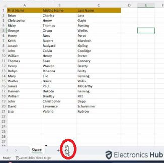 Excel Sheet Duplication Made Easy (2 Fast Methods!)