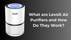 What are Levoit Air Purifiers and How Do They Work
