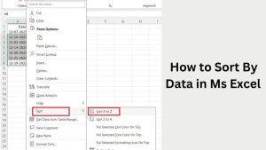 how to sort data in mx excel