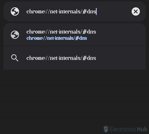 chrome://net-internals/#dns